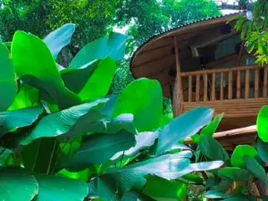 Alina Farm Resort