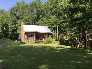 ~ Cabin in the Wildwoods ~ Secluded ~ Rustic ~ Family Friendly~