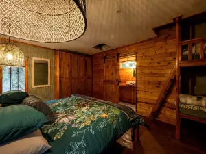 Matumi Trail Forest Lodges - Matumi and Mitzeeri
