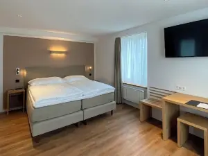 Hotel Artist