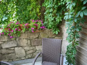 Hotel Petr