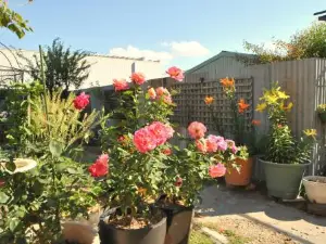 Cooma Cottage