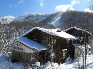 Pension Snowfall Meteor