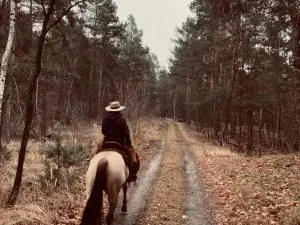 W Diamonds Ranch