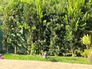 Pousada PE NA Terra EM Guararema