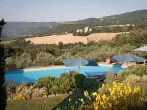 Tenuta Di Canonica
