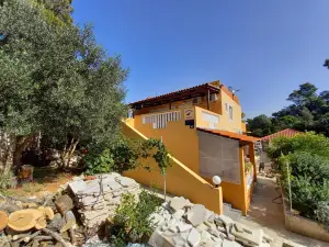 Apartments Vinko Mljet- One-Bedroom Apartment with Terrace (A4)