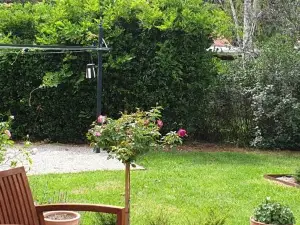 Kings Cottage Uralla
