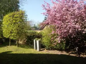 Apartment am Vechtesee
