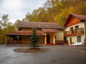 Pensiunea Valea Gepisului