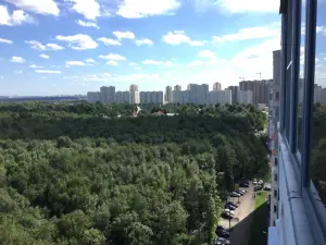 Kutuzov's Apartment Near The Forest