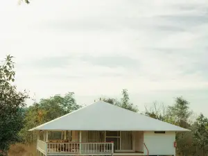 트리 오브 라이프 람빌라스 반다브가르