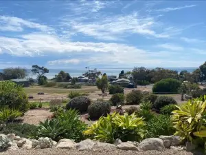 Bayview Bliss