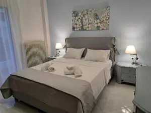 Luxury Apartment