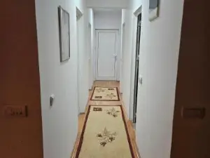 Luxury Apartment