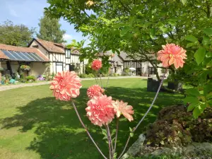 灰狗小屋