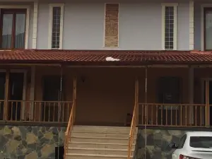 Sapanca Mavi yeşil köy Evi