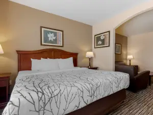 斯威特沃特貝斯特韋斯特優質套房酒店