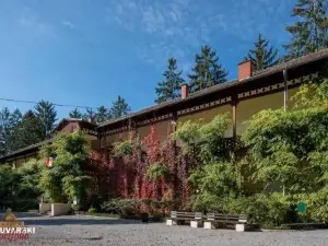 Studio Apartman Rossa