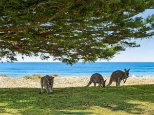 Paradise Retreat - Relax & Escape