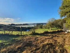 The Kauri Haven by Tiny Away