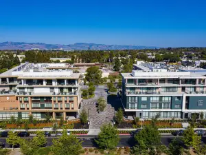 Hotel Citrine, Palo Alto, a Tribute Portfolio Hotel