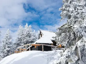 Koča Bistra - Velika Planina