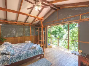 Los Vivos Beachfront Experience