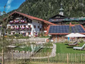 バイム ヌイハスザ