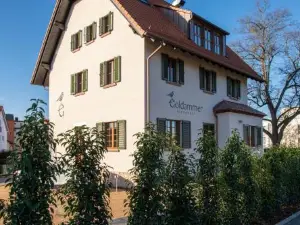 Goldammer Aschaffenburg