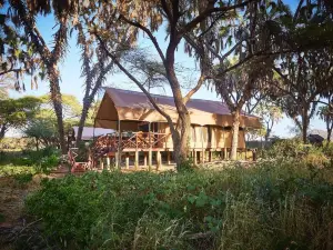 Elephant Bedroom Camp - Samburu