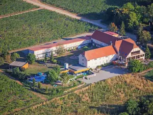 Hôtel du Bollenberg - Restaurant "Côté Plaine" - Spa de la Colline