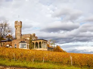 Relais & Châteaux Hotel Burg Schwarzenstein