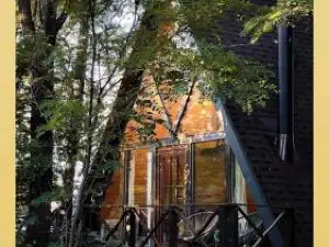 Porumbacu Treehouse