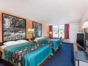 Super 8 by Wyndham Black Mountain