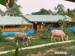 The Local Homestay Cồn Sơn