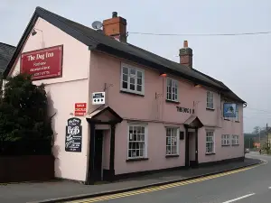 The Dog Inn