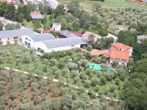 Belvilla by OYO Casa Giacinto