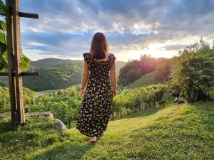 Vineyard Cottage Podržaj