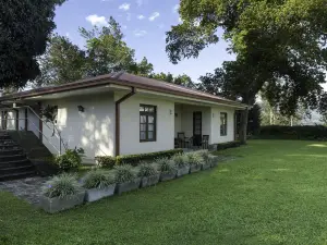 Olive Bungalow