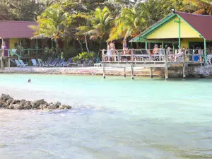 Reef House Resort