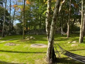Przytulia