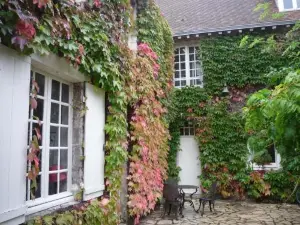 La Vigne Vierge