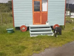 Croft of Clune Shepherds Huts