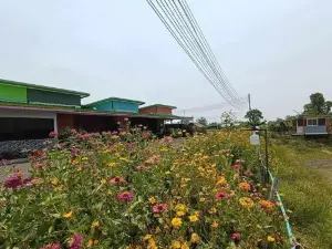 Manee House - บ้านมณี