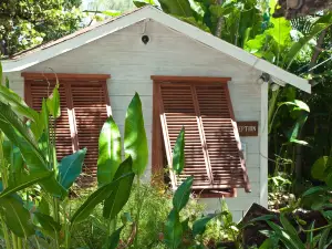 Eco Lifestyle & Lodge