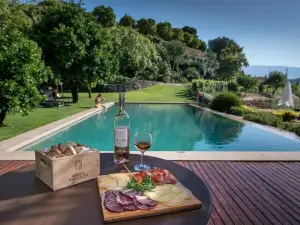 Quinta do Vallado - Douro Wine Hotel