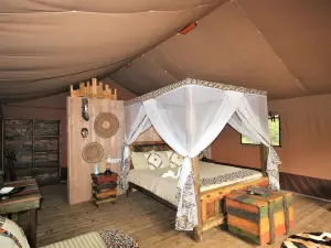 Africa Safari Serengeti Kusini
