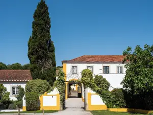 Doma Portugal