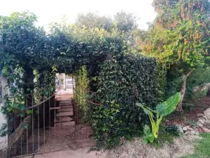 Pousada Belvedere